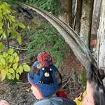 @henry_quiroga - Instagram