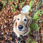 Henryraber - @henry_raber28 - Instagram