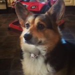 Henry Ratcliffe - @henryratcliffe18 - Instagram