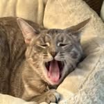 Henry Rath - @henryr.exe - Instagram