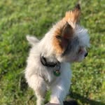 Henry Rathjen - @henry.rathjen97 - Instagram