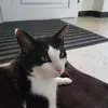 Henryk Ritterrath - @henrykritterath - TikTok