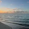 Henry - @henryriddle12343 - TikTok