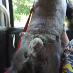 Henry Riddle - @savage_police11 - Instagram