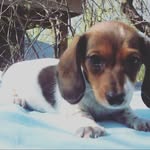 Henry Riddle - @henryriddle.mmc - Instagram