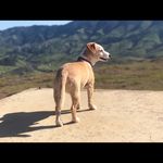 Henry Ritter - @ritter.henry - Instagram