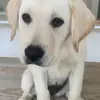 Henry robertson - @henry.robertson94 - TikTok