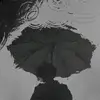 Henry Roche - @henryroche4369 - TikTok