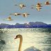 Henry ROH - Facebook