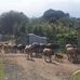 Henry Rono - Facebook