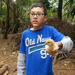 Henry Ronquillo - @ronquillohenry - Instagram
