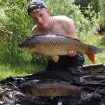Henry Rosindale - @henryrosindale - Instagram