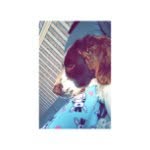 @henryrosser123 - Instagram
