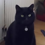 Henry Row - @genghis_row - Instagram