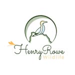 Henry Rowe - @henry_rowe_wildlife - Instagram
