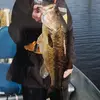 henryruffi - @thehuntingfanatic0 - TikTok