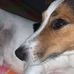 Henry Ruggeri - Facebook