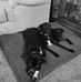 Henry Ruhl - Facebook