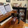 Henry Rush - @henryrush38 - TikTok