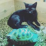 Salem & Henry - @salem.n.henry - Instagram