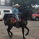 henrysandigo - @henrysandigo1227 - Instagram