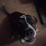 Henry Saunders - Facebook