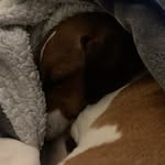 Henry Saunders - @hsaunders7312 - Instagram