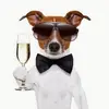 Henry Schaffer - @_henrys2000_ - TikTok
