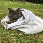 Henry Schofield - @henryschof - Instagram