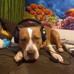 Henry Seitz - @seitzhenry2 - Instagram