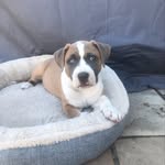 Henry Seitz - @seitz.henry - Instagram