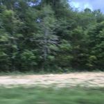 Henryshaffer - @henryshaffer3152 - Instagram