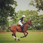 Henry Sharp - @hs_polo - Instagram