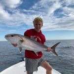 Henry Sharp - @henry_sharp_ - Instagram