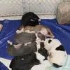 Henry Sherrod - @henry.sherrod5 - TikTok