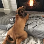 Henry Singleton Hart - @henry_singleton_ - Instagram