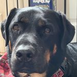Henry Skaggs - @henryskaggs73 - Instagram