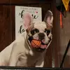 Henrysmiley7 - @henrysmiley7 - TikTok