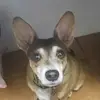 user3242744207676 - @henry_and_smiley - TikTok
