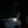 Henry Smith - @henry_smith01 - TikTok
