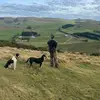 henrysmith - @henrysmith_farmer - TikTok