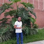 Henry Solorzano - @henry.solorzano.503092 - Instagram