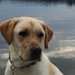 Henry Spangler - @henry_ford_spangler - Instagram