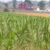 The Henry Spangler Farm - Facebook