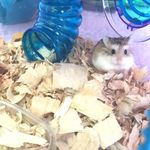 HenrySparrow - @henrysparrow6031 - Instagram