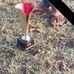 Henry Owinoh Burning Spear - Facebook