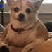 Henry Specht - Facebook