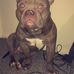 Henry Stapleton - Facebook