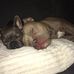 Henry Stapleton - Facebook