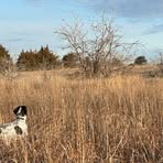 Henry Starr - Facebook
